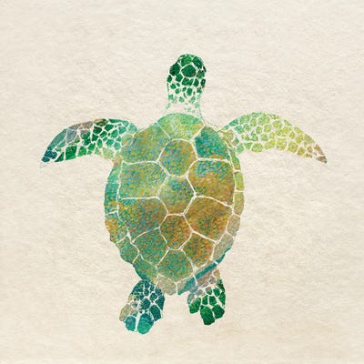 Turtle Bay I by Surma & Guillen acrylic art print