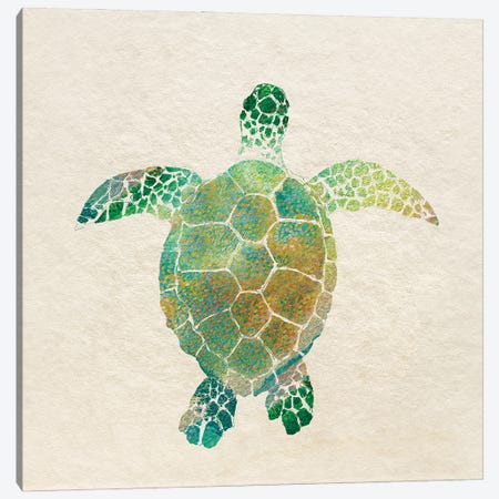 Turtle Bay I Canvas Print #SGU12} by Surma & Guillen Canvas Artwork