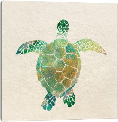 Turtle Bay I Canvas Art Print