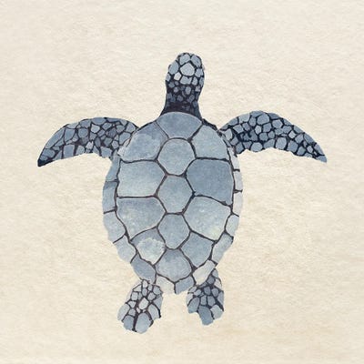 Turtle Bay II by Surma & Guillen acrylic art print