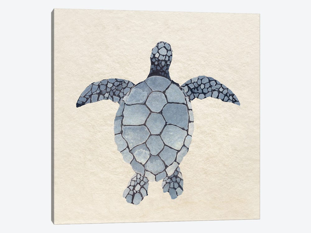 Turtle Bay II by Surma & Guillen 1-piece Art Print