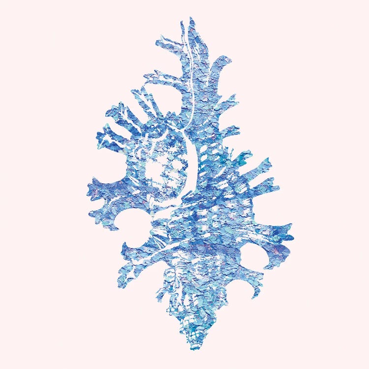 Bahama Shell II