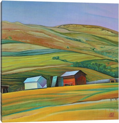 Sheepfold From Sticlăria Village Canvas Art Print - Hill & Hillside Art