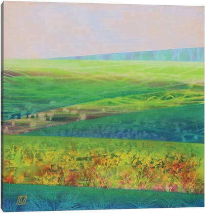 Landscape From Boholț Canvas Art Print - Romania