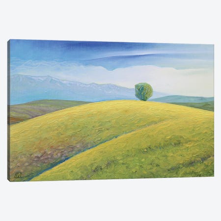 Landscape From Boholț (Church Hill) Canvas Print #SGV37} by Serge Vasilendiuc Canvas Artwork