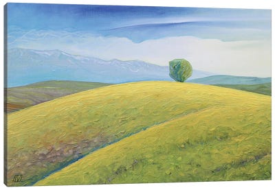 Landscape From Boholț (Church Hill) Canvas Art Print - Serge Vasilendiuc