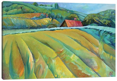 On The Hill Of Brădet Village Canvas Art Print - Serge Vasilendiuc