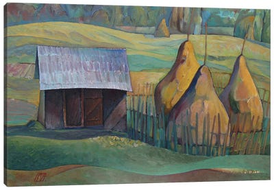 Haystacks In Iacobeni Canvas Art Print - Serge Vasilendiuc