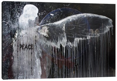 Spirit of Peace Canvas Art Print - Wings Art