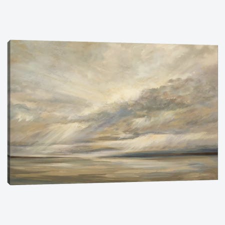 Storm On The Bay Canvas Print #SHE13} by Sheila Finch Canvas Art