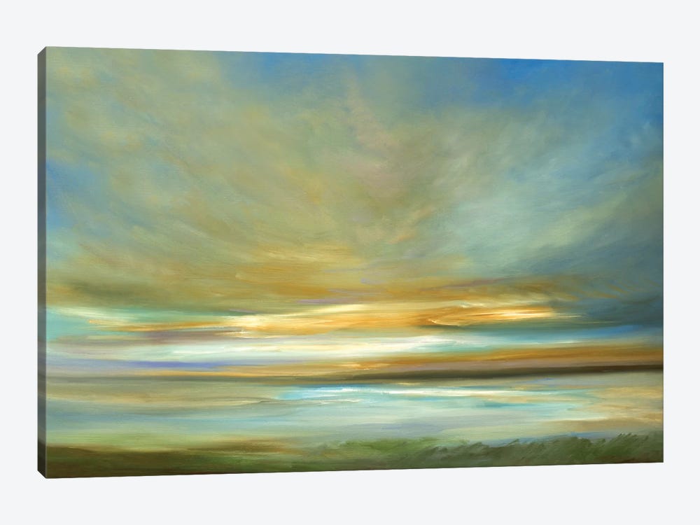 Light On The Dunes by Sheila Finch 1-piece Canvas Wall Art