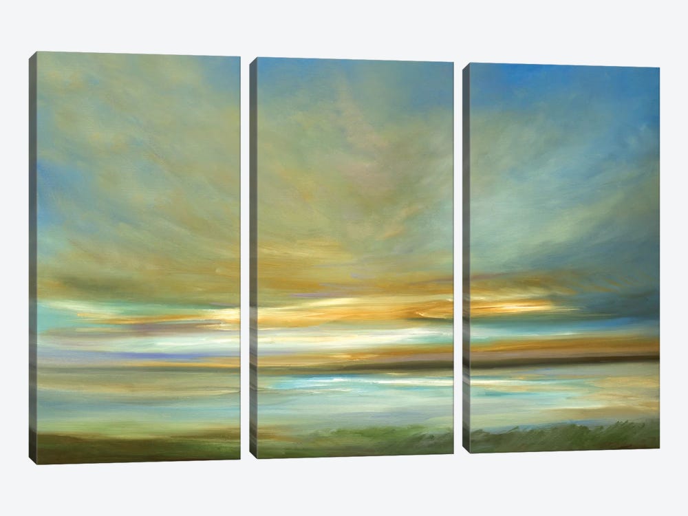 Light On The Dunes by Sheila Finch 3-piece Canvas Art