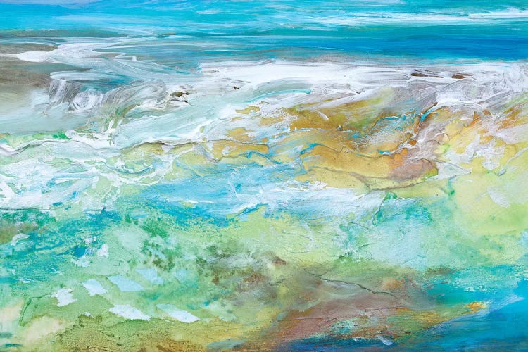 Tide Pool  by Sheila Finch wall art