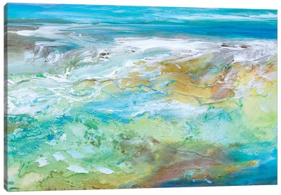 Tide Pool  Canvas Art Print - Sheila Finch