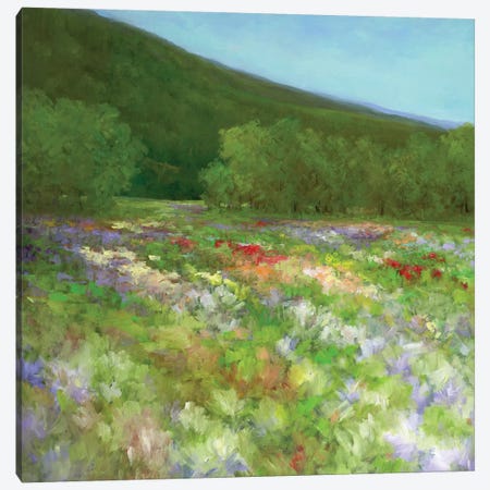 Flowers Of Half Moon Bay II Canvas Print #SHE29} by Sheila Finch Canvas Print