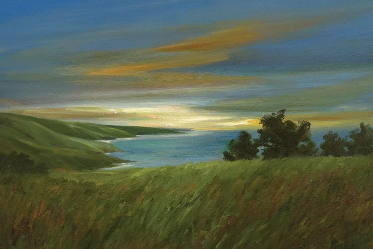 Sky At Dusk by Sheila Finch wall art