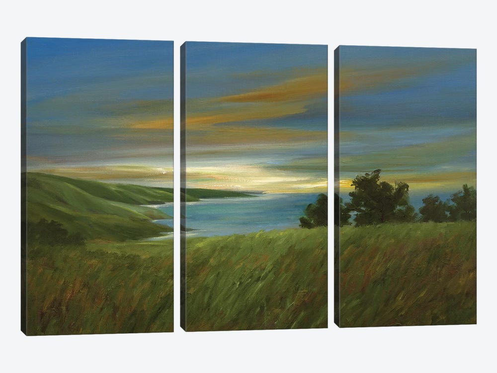 Sky At Dusk by Sheila Finch 3-piece Canvas Art Print
