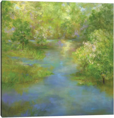Spring Lake Reflections Canvas Art Print - Sheila Finch