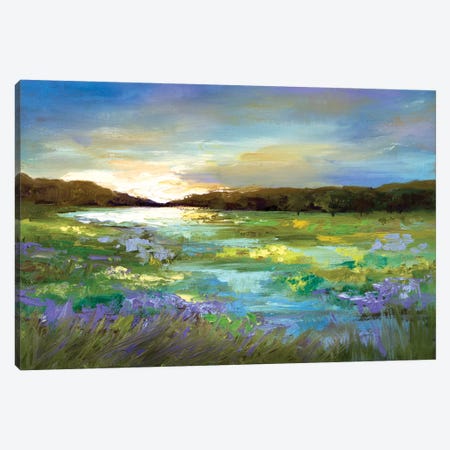 Radiant Evening Canvas Print #SHE3} by Sheila Finch Art Print