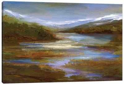 Mountain Stream Canvas Art Print - Sheila Finch