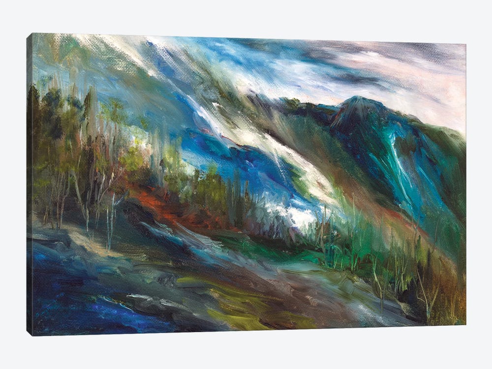 Sierra Storm by Sheila Finch 1-piece Canvas Artwork