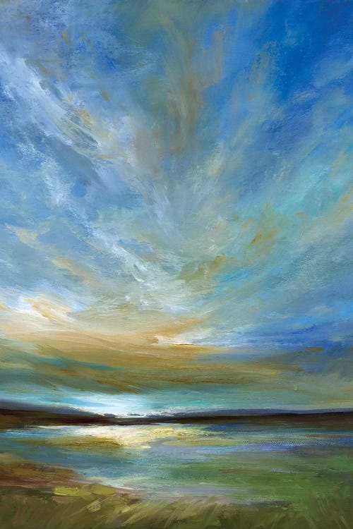 Updraft by Sheila Finch wall art
