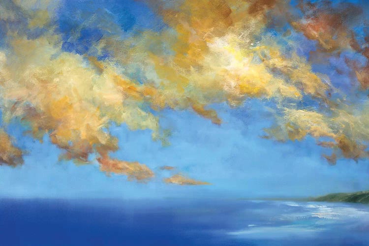 Golden Cloudscape by Sheila Finch wall art
