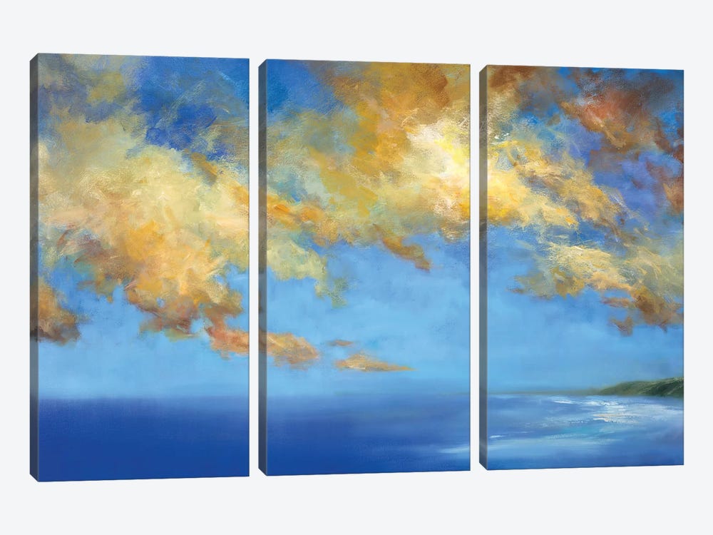 Golden Cloudscape by Sheila Finch 3-piece Canvas Art