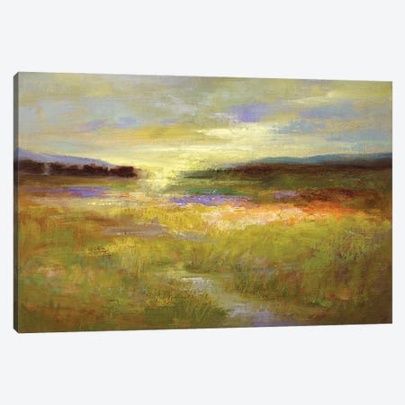 Light Across the Meadow II Canvas Print #SHE72} by Sheila Finch Canvas Artwork