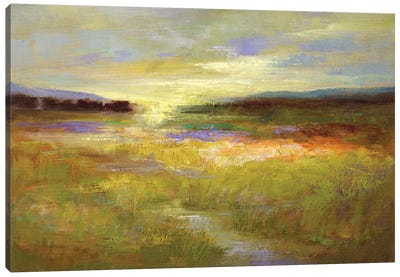 Light Across the Meadow II Canvas Art Print - Sheila Finch