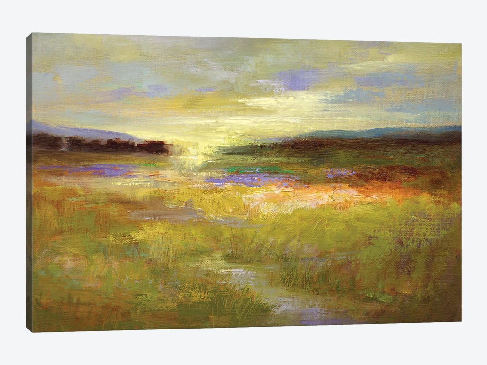 Light Across the Meadow II by Sheila Finch 1-piece Canvas Art