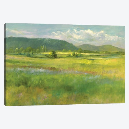Hills Beyond The Meadow Canvas Print #SHE82} by Sheila Finch Art Print