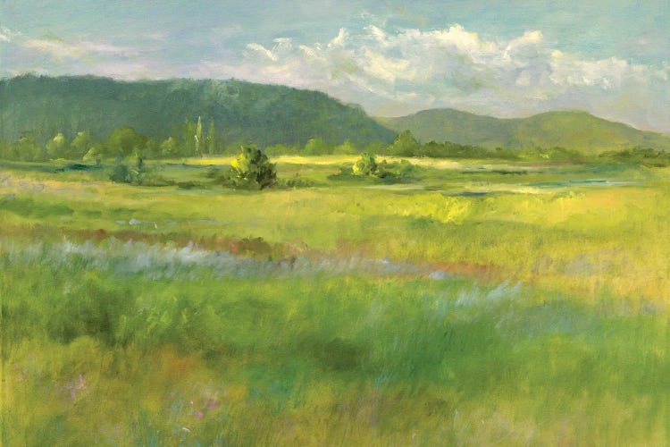 Hills Beyond The Meadow