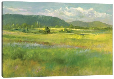 Hills Beyond The Meadow Canvas Art Print - Sheila Finch