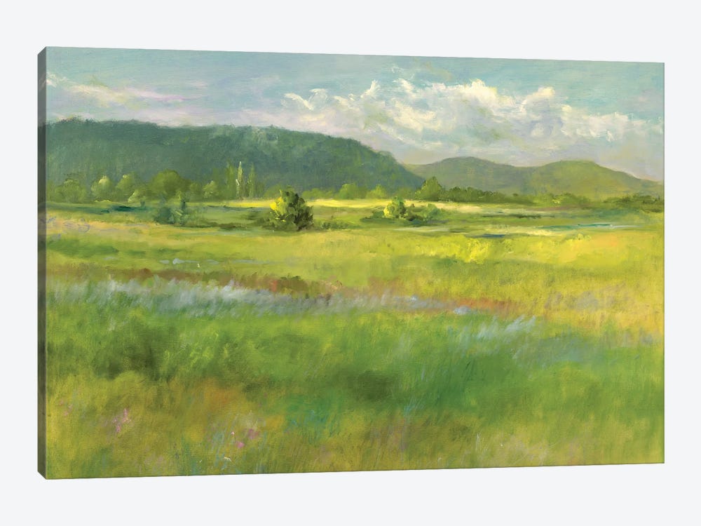 Hills Beyond The Meadow by Sheila Finch 1-piece Art Print