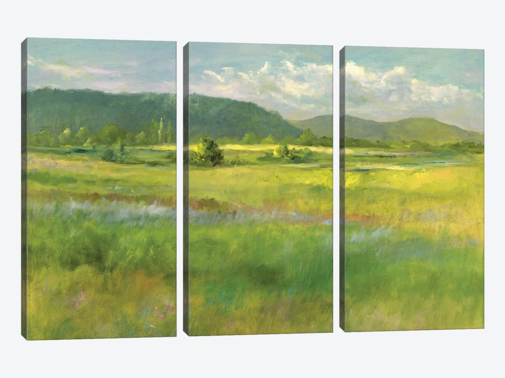 Hills Beyond The Meadow by Sheila Finch 3-piece Canvas Print