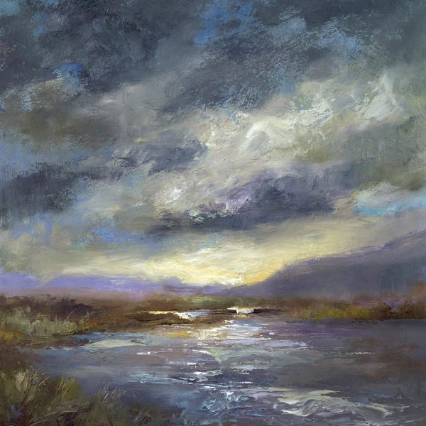 Sheila Finch: Flood by Sheila Finch
