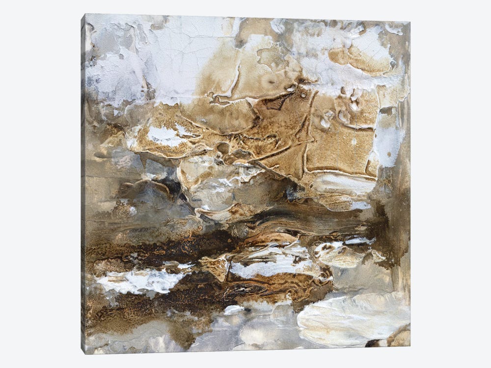 Gilt Sandstone II by Scherrer Finch 1-piece Canvas Artwork