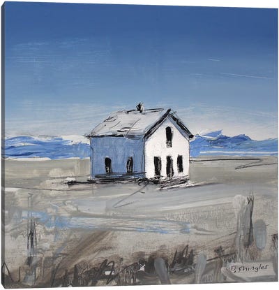 Colorado House II Canvas Art Print - David Shingler