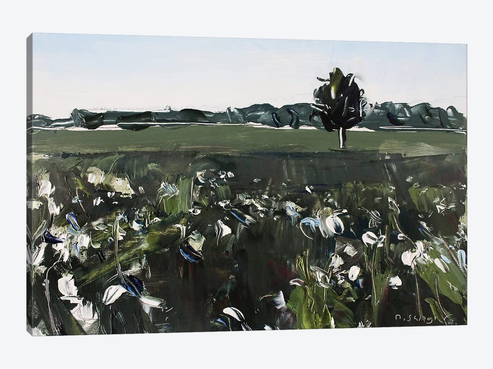 Cotton Field NC by David Shingler 1-piece Canvas Artwork