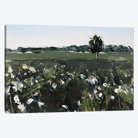 Cotton Field NC Canvas Print #SHG11} by David Shingler Canvas Artwork