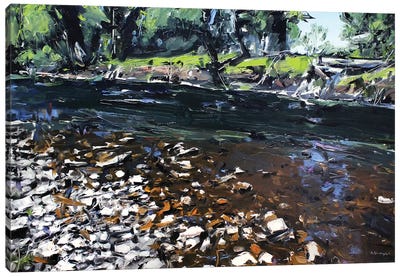 Creek Montana Canvas Art Print - David Shingler