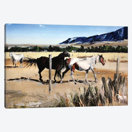 Dancing Horses, Red Lodge, MT Canvas Print #SHG13} by David Shingler Canvas Wall Art