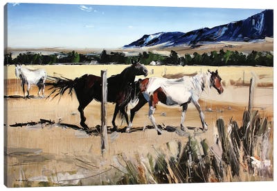Dancing Horses, Red Lodge, MT Canvas Art Print - David Shingler