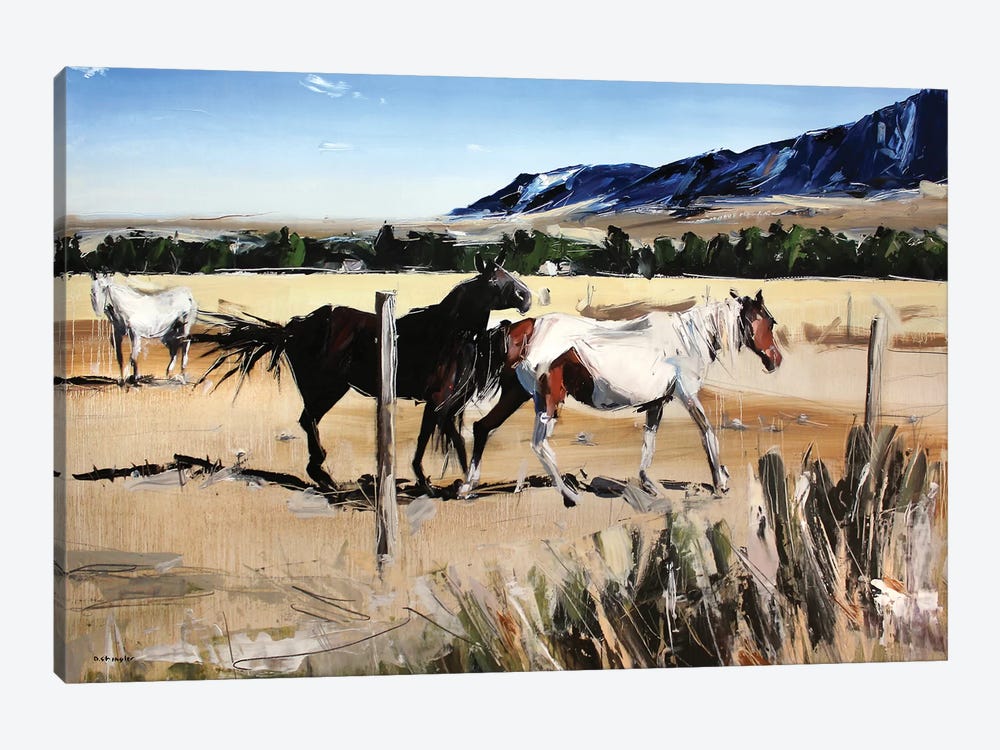 Dancing Horses, Red Lodge, MT by David Shingler 1-piece Canvas Artwork