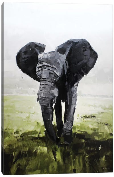 Elephant, South Africa Canvas Art Print - South Africa