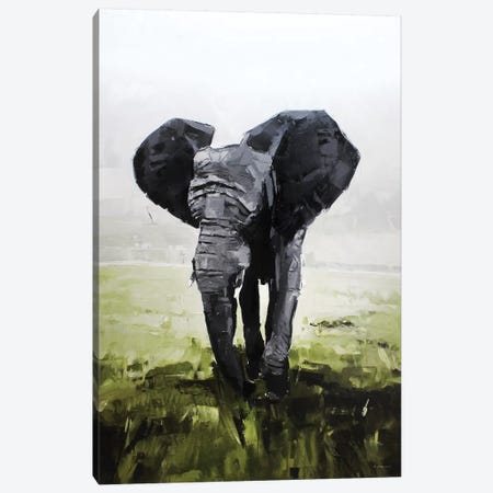 Elephant, South Africa Canvas Print #SHG15} by David Shingler Art Print