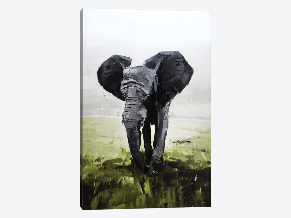 Elephant, South Africa by David Shingler 1-piece Canvas Art
