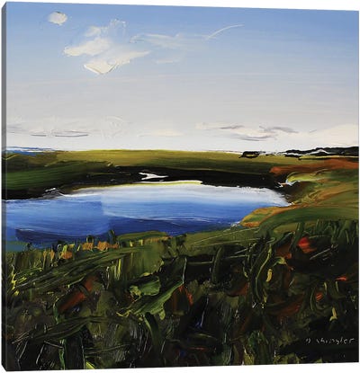 Frisco Marsh Canvas Art Print - David Shingler