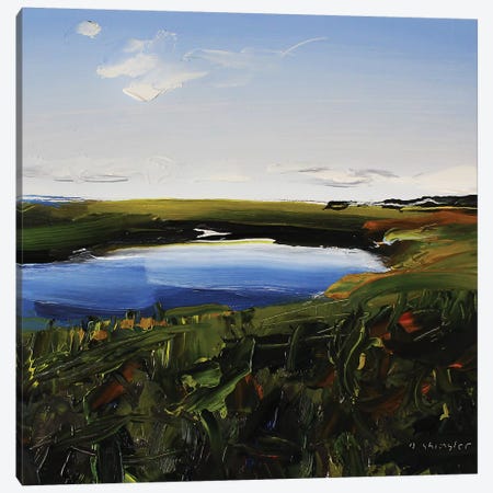 Frisco Marsh Canvas Print #SHG18} by David Shingler Canvas Wall Art